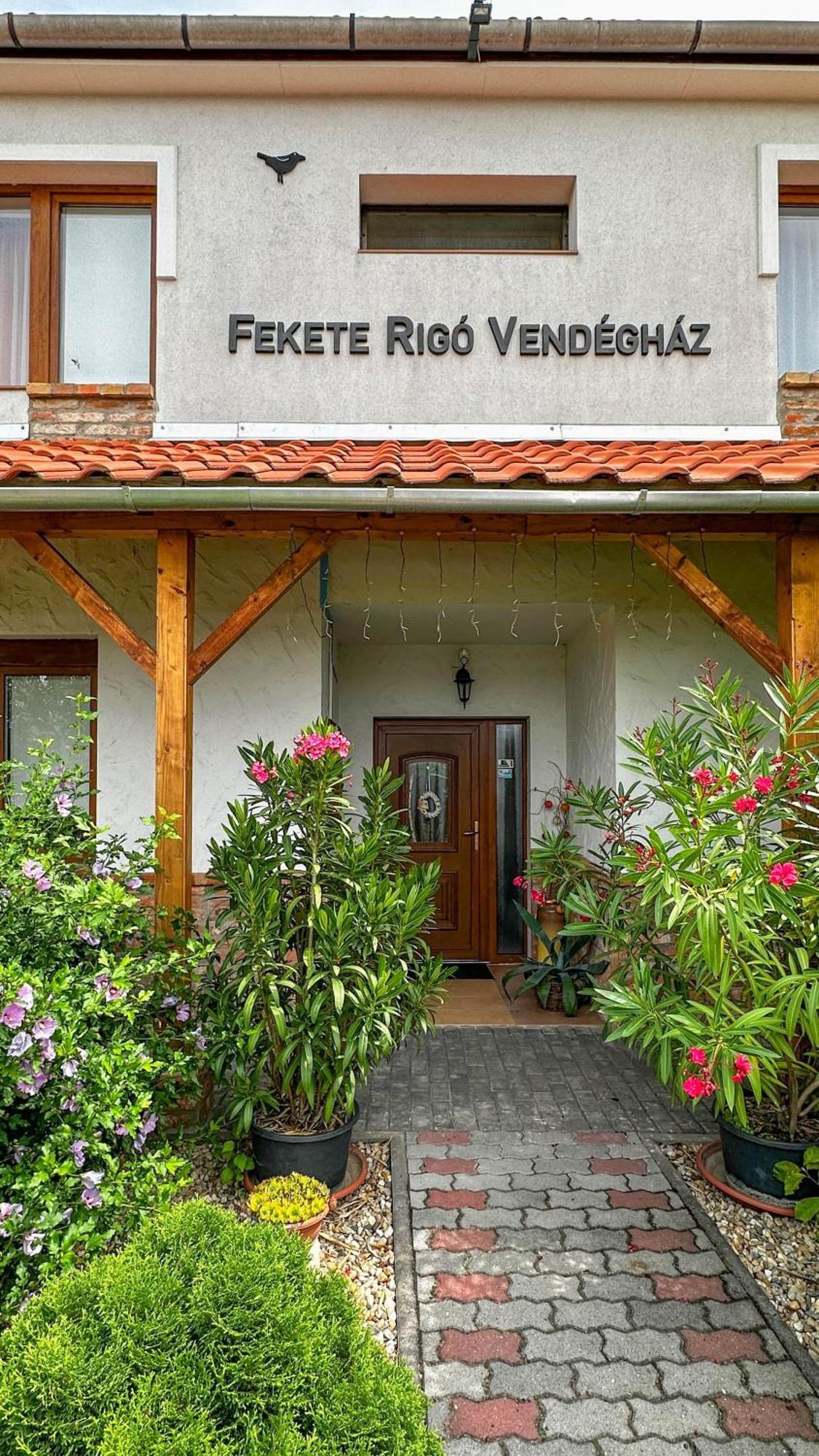 Ferienwohnung Fekete Rigo Vendeghaz Egerszalók Exterior foto